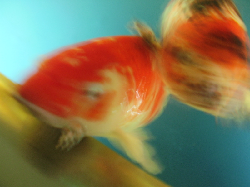 Berlin selected - 102