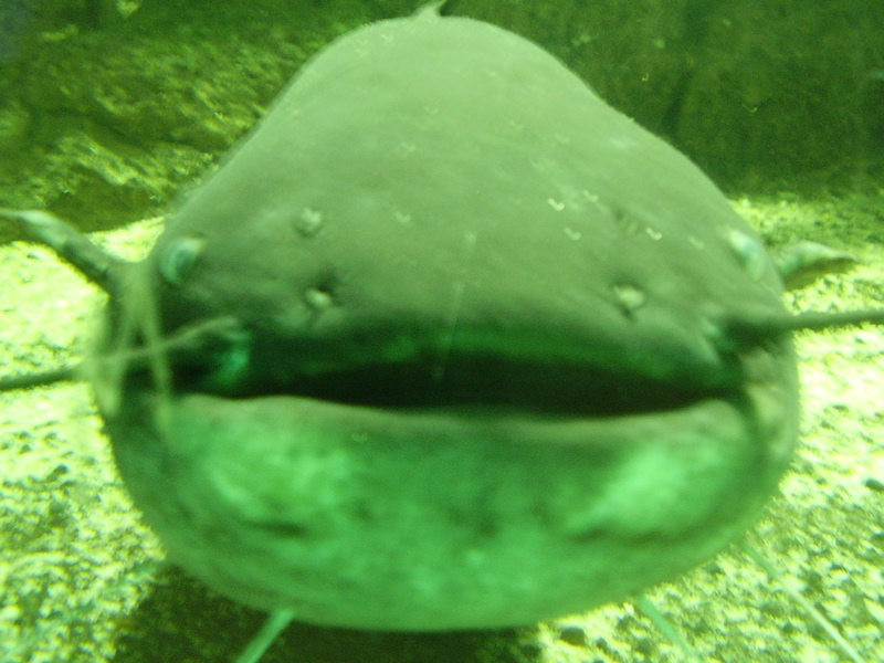 Berlin selected - 103