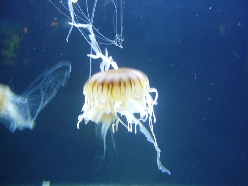 Berlin selected - 104