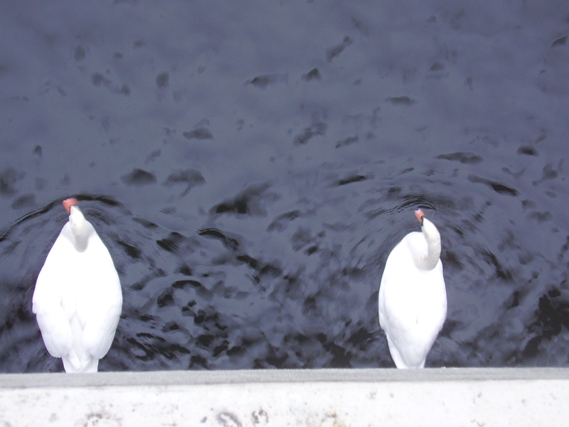 Berlin selected - 059