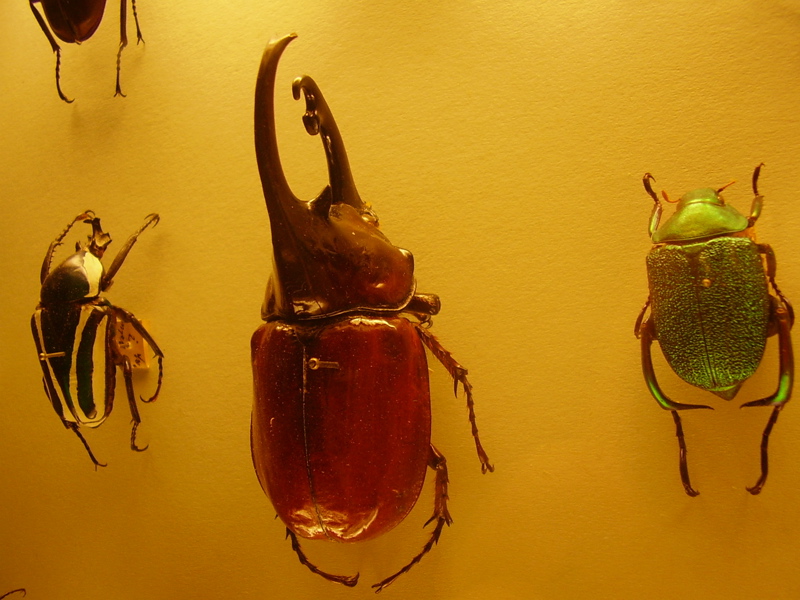 Berlin selected - 061