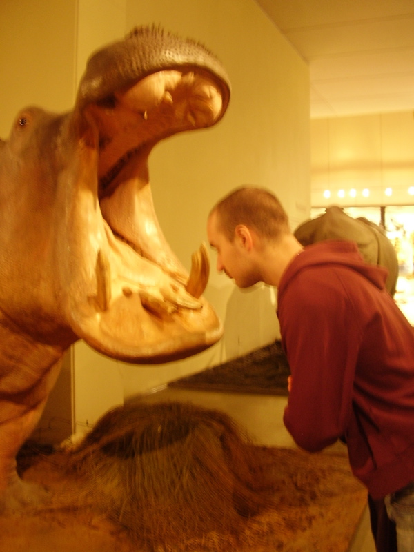 Berlin selected - 062