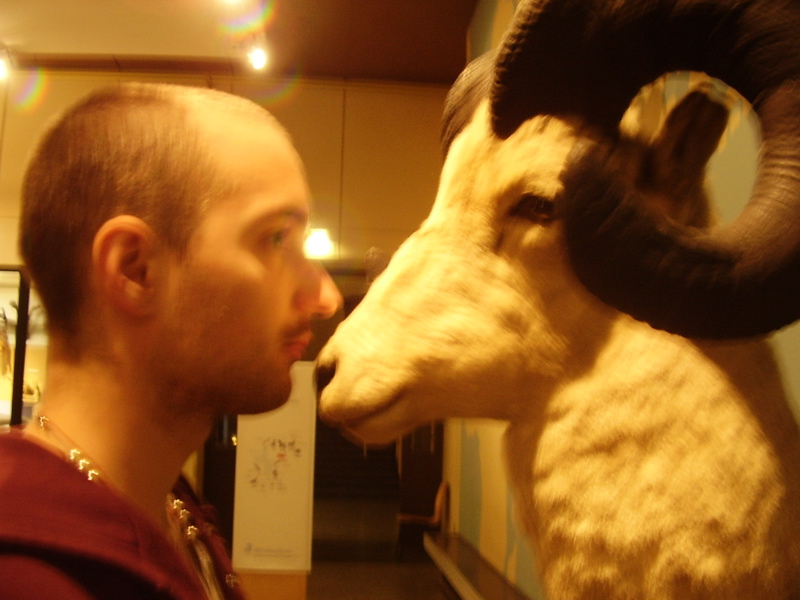 Berlin selected - 063