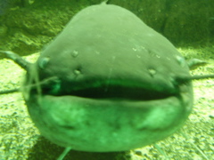 Berlin selected - 103