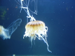 Berlin selected - 104