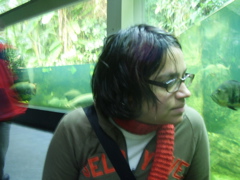 Berlin selected - 105