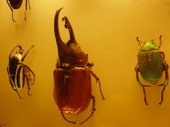 Berlin selected - 061