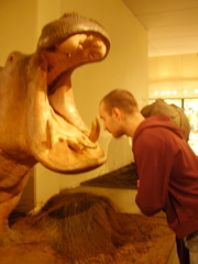 Berlin selected - 062