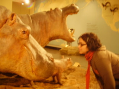 Berlin selected - 064