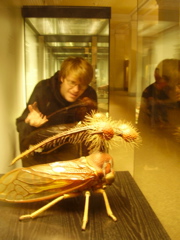 Berlin selected - 065